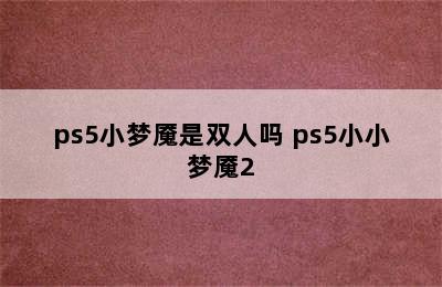 ps5小梦魇是双人吗 ps5小小梦魇2